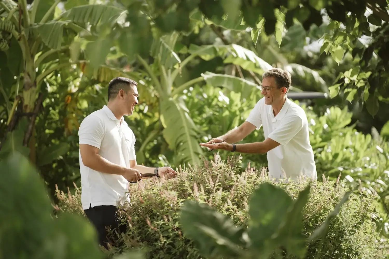 Hoan and Dieter sharing their knowledge in the herb garden