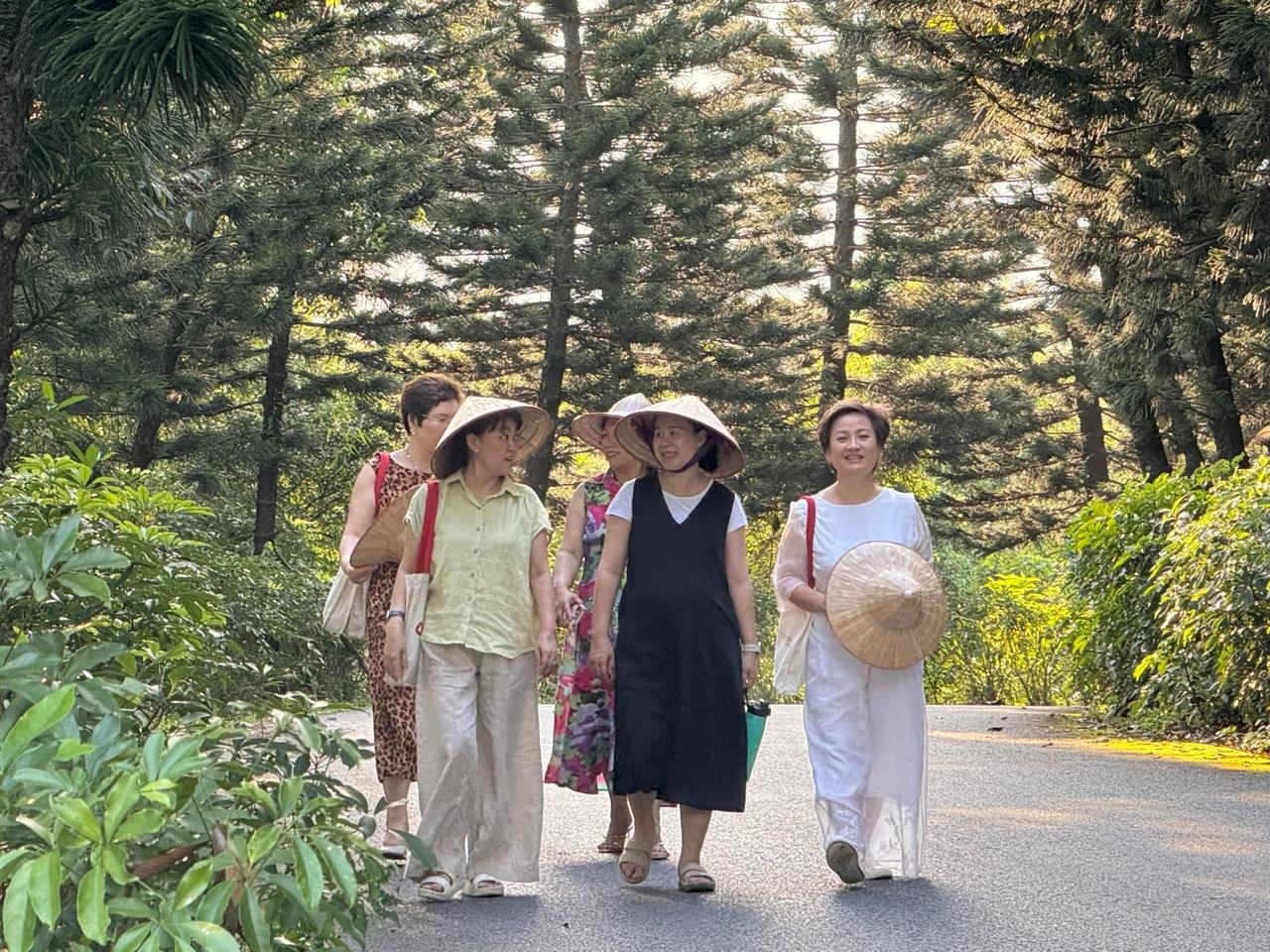 An Retreat guests walking together through the Yên Tử forest