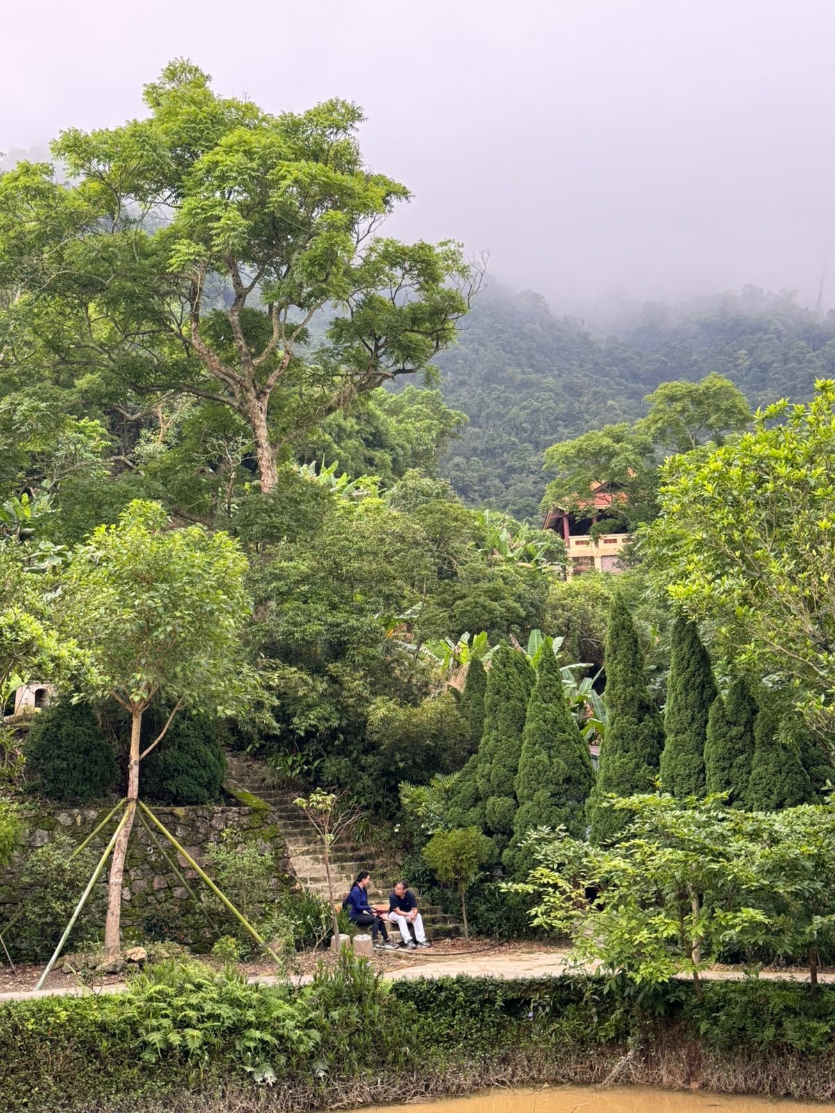A quiet misty garden at Legacy Yên Tử