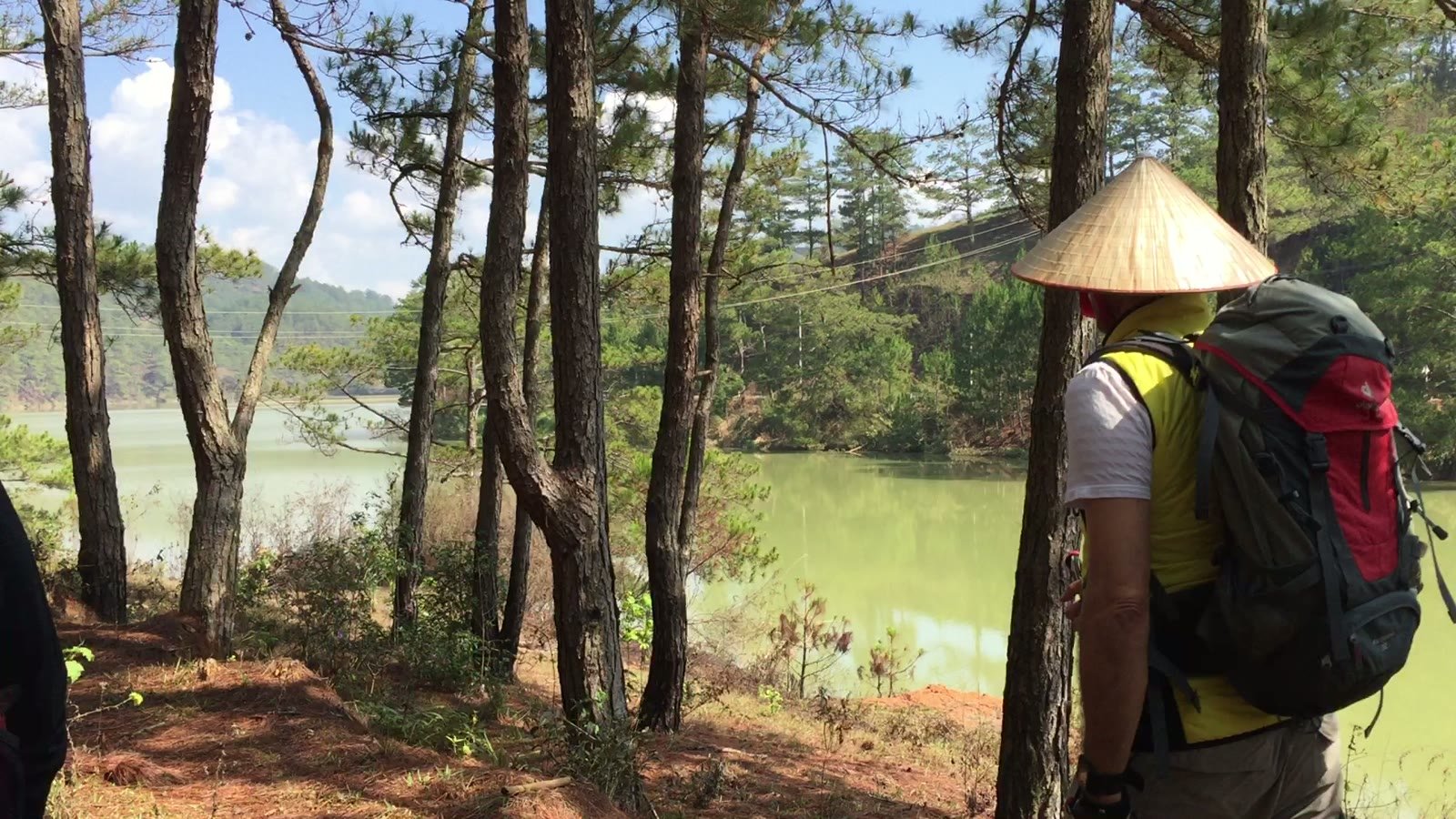 A guest walking quietly through the forest during a private retreat